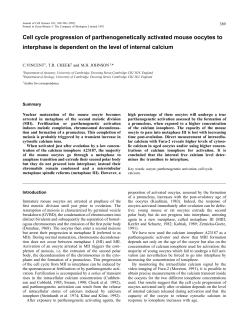 Cell cycle progression of parthenogenetically activated mouse