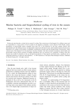 Marine bacteria and biogeochemical cycling of iron in the oceans