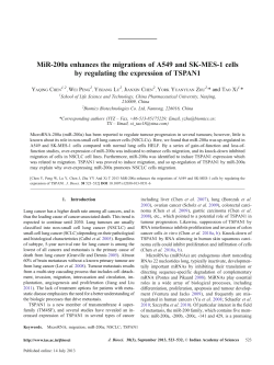 MiR-200a enhances the migrations of A549 and SK-MES