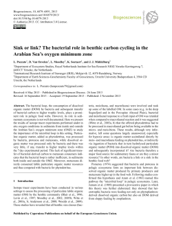 Sink or link? The bacterial role in benthic carbon cycling in the