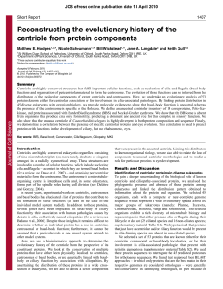 Reconstructing the evolutionary history of the centriole from protein