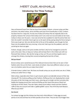 meet our animals - Diamond Forest Cottages