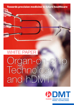 hDMT White Paper
