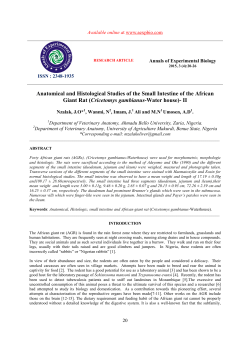 Anatomical and Histological Studies of the Small Intestine of the