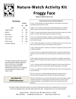 Froggy Face - Nature