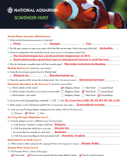 Scavenger Hunt Answers