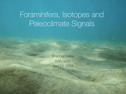 Foraminifera, Isotopes and Paleoclimate Signals