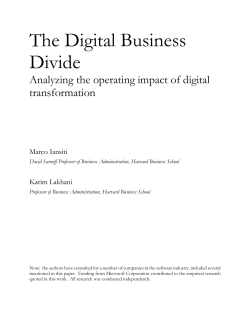 The Digital Business Divide