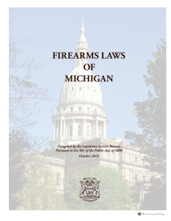 firearms laws of michigan