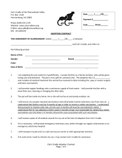 Adoption Contract.