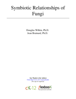 Symbiotic Relationships of Fungi