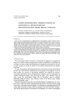 light-microscopic observations of individual microtubules
