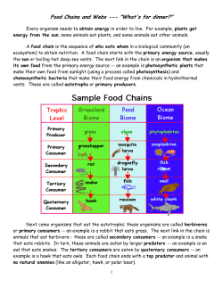 Food Chains and Webs