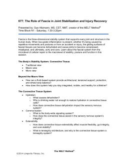 677: The Role of Fascia in Joint Stabilization and Injury Recovery
