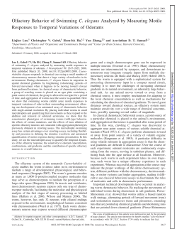 Olfactory Behavior of Swimming C. elegans Analyzed by Measuring