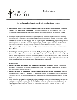 Herbal Remedies Class Seven: The Endocrine Gland