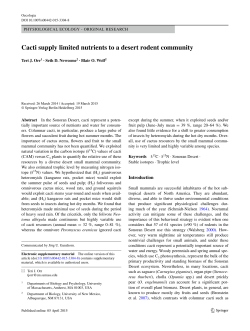 Cacti supply limited nutrients to a desert rodent