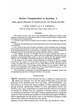 Nuclear Transplantation in Amoebae. I.