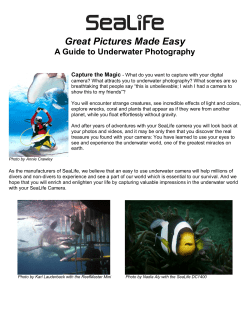 Great Pictures Made Easy