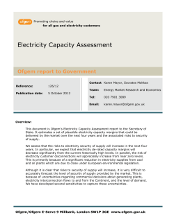 Electricity Capacity Assessment