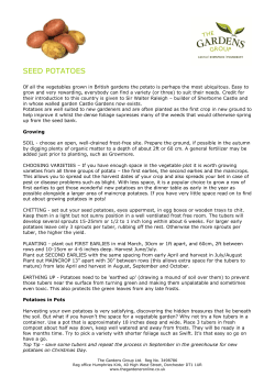 Dry Gardens - The Gardens Group