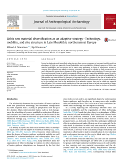 Lithic raw material diversification as an adaptive strategy
