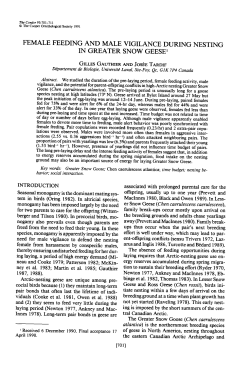 Female Feeding and Male Vigilance During Nesting in Greater