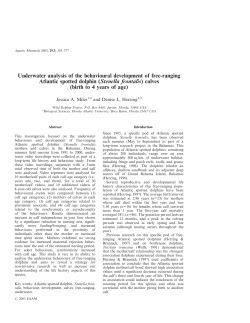 Underwater analysis of the behavioural development of free