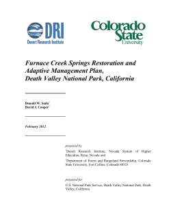 Furnace Creek Springs Restoration and Adaptive Management Plan