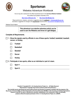 Webelos/AOL Elective Adventure: Sportsman