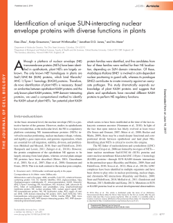 Identification of unique SUN-interacting nuclear envelope proteins
