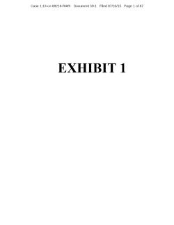 Frank Simmons , et al. v. FAB Universal Corporation, et al. 13