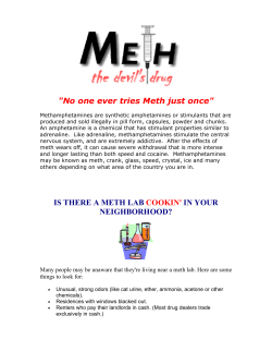 No one ever tries Meth just once
