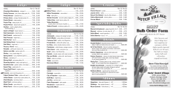 Bulb Order Form - Nelis` Dutch Village