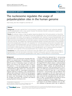 The nucleosome regulates the usage of polyadenylation sites in the