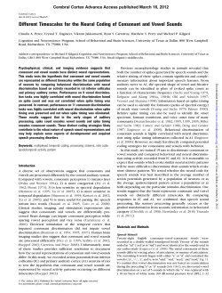 Different Timescales for the Neural Coding of Consonant and Vowel