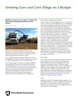 Growing Corn and Corn Silage on a Budget