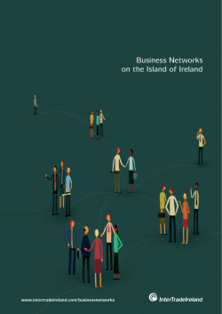 Business Networks on the Island of Ireland