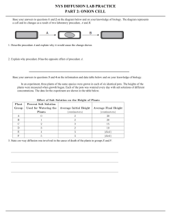NYS DIFFUSION LAB PRACTICE PART 2: ONION CELL