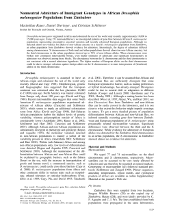 Nonneutral Admixture of Immigrant Genotypes in African Drosophila