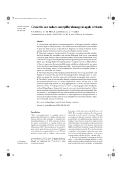 Great tits can reduce caterpillar damage in apple orchards