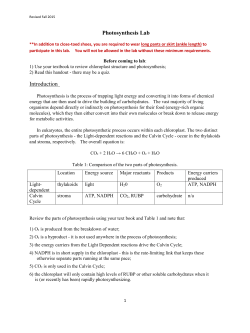 Photosynthesis Lab Introduction
