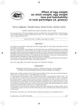 Effect of egg weight on chick weight, egg weight loss and