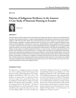 Patterns of Indigenous Resilience in the Amazon