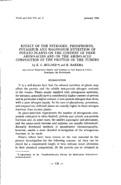 effect of the nitrogen, phosphorus, potassium and magnesium