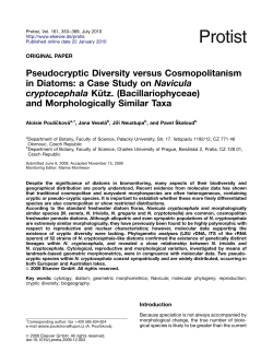 Pseudocryptic Diversity versus Cosmopolitanism in Diatoms a Case