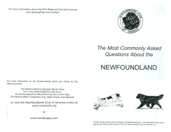 The Most Commonly Asked Questions About the Newfoundland