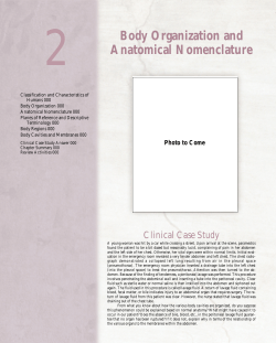Body Organization and Anatomical Nomenclature