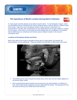 The Importance of Mouth Location During Saliva