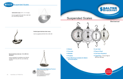 Suspended Scales - Wholesale Point